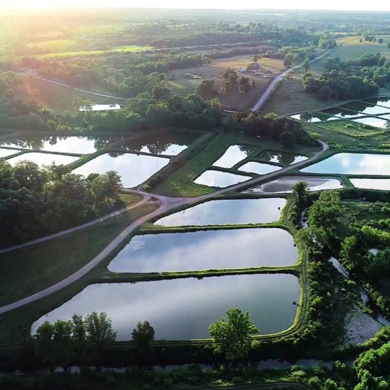 Farm Tours